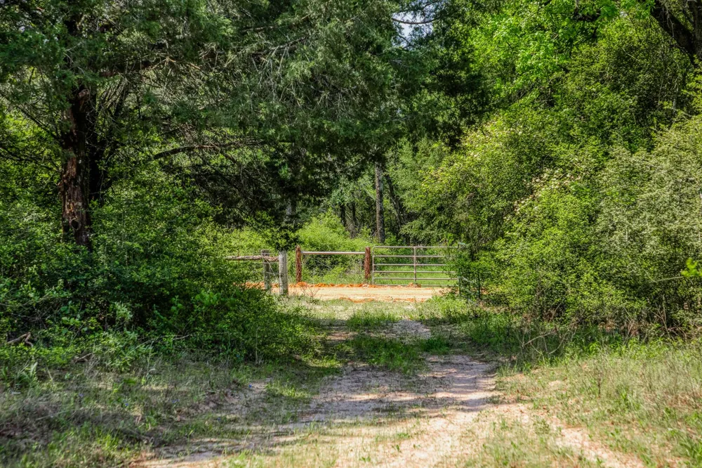 7266 County Road 449 Marquez, TX 77865
