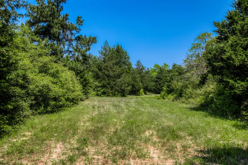 7266 County Road 449 Marquez, TX 77865