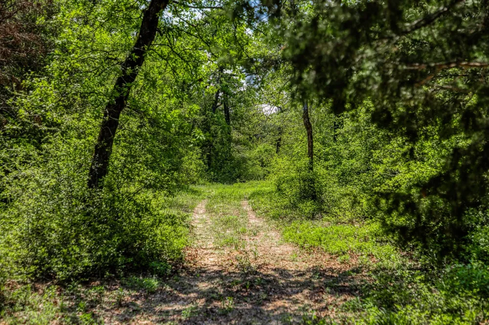 7266 County Road 449 Marquez, TX 77865
