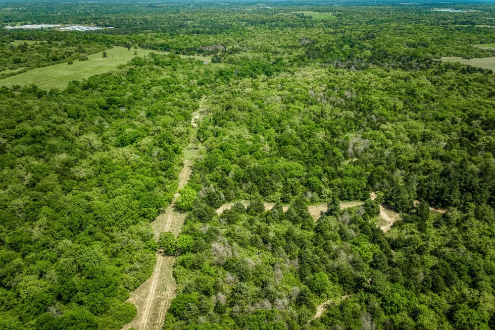 7266 County Road 449 Marquez, TX 77865