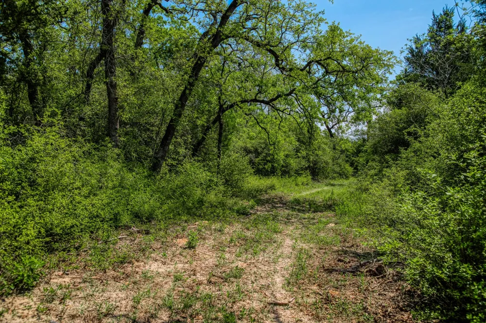 7266 County Road 449 Marquez, TX 77865