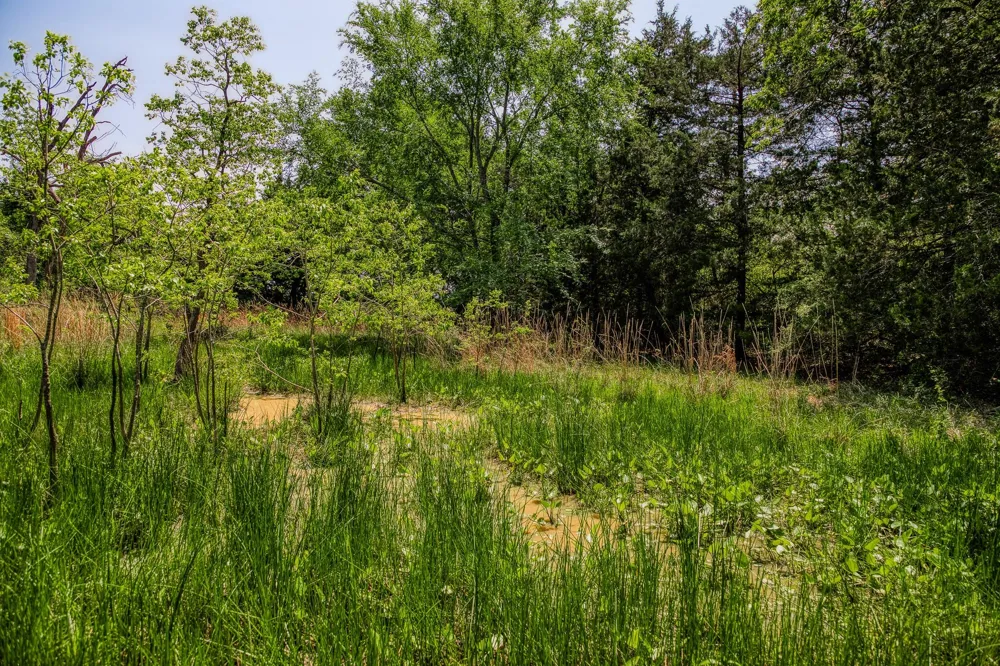 7266 County Road 449 Marquez, TX 77865