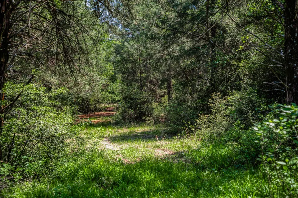 7266 County Road 449 Marquez, TX 77865