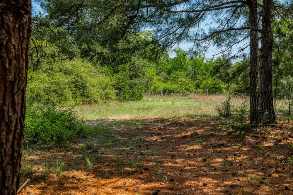 7266 County Road 449 Marquez, TX 77865