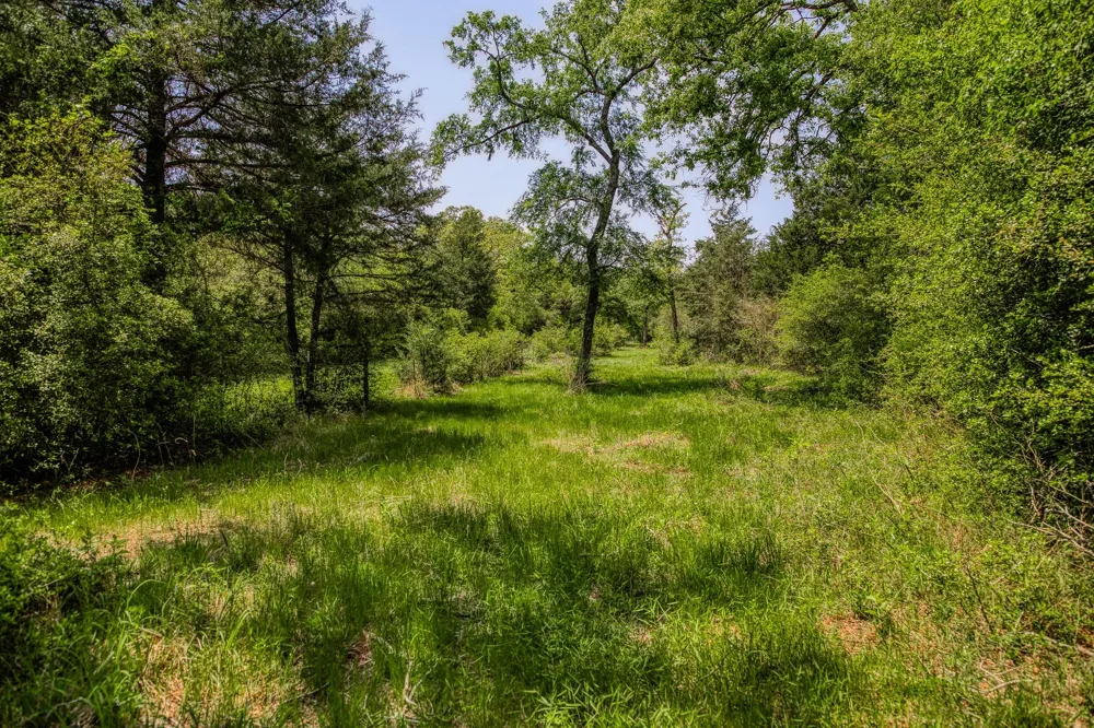 7266 County Road 449 Marquez, TX 77865
