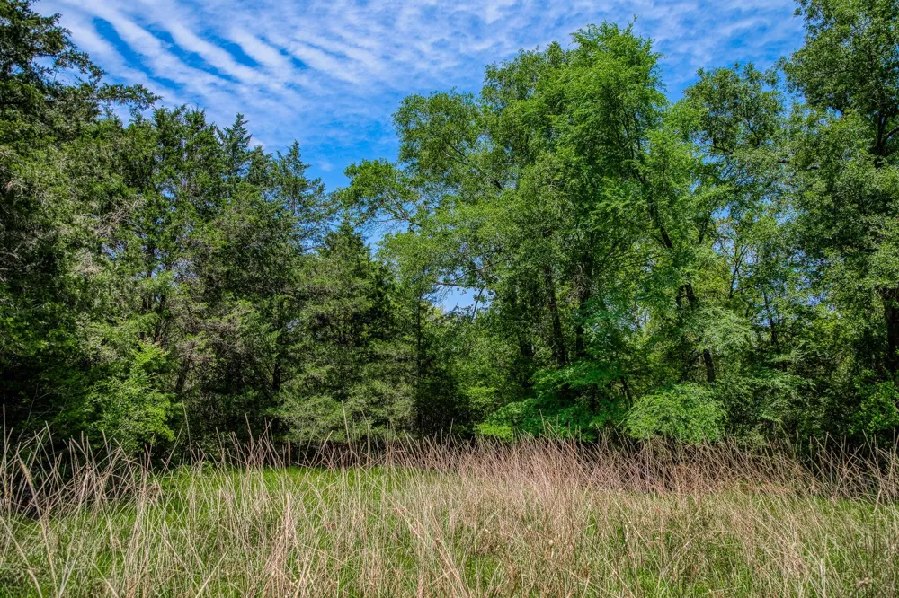 7266 County Road 449 Marquez, TX 77865