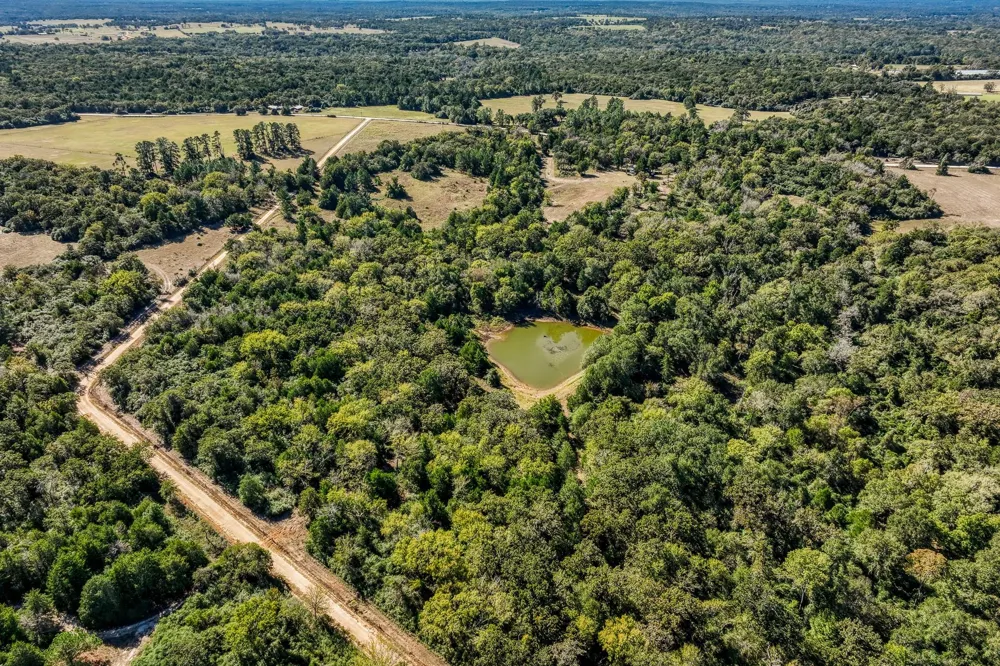 7266 County Road 449 Marquez, TX 77865