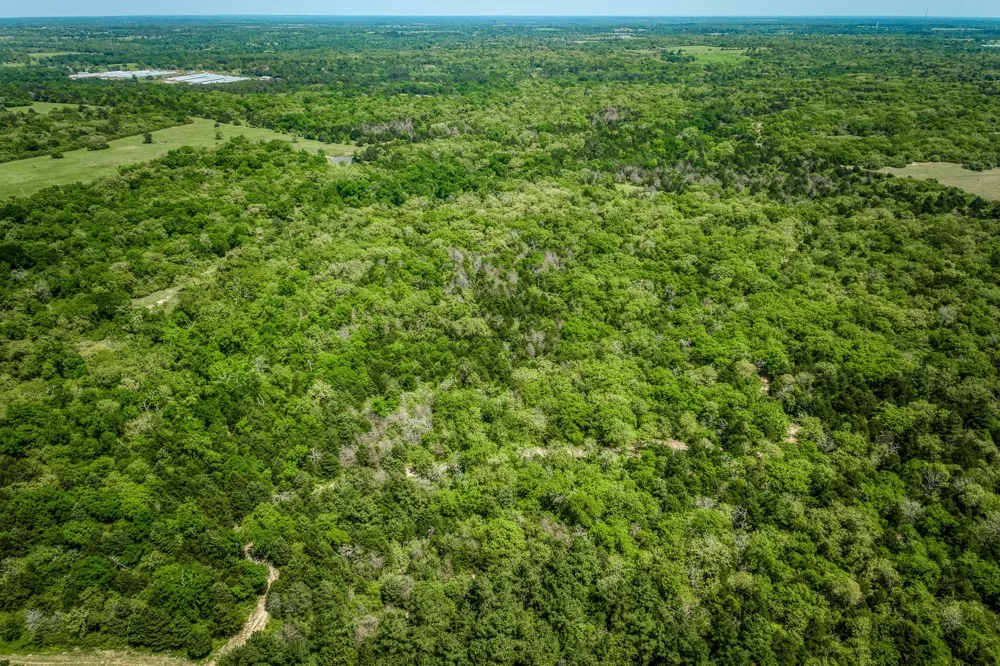 7266 County Road 449 Marquez, TX 77865