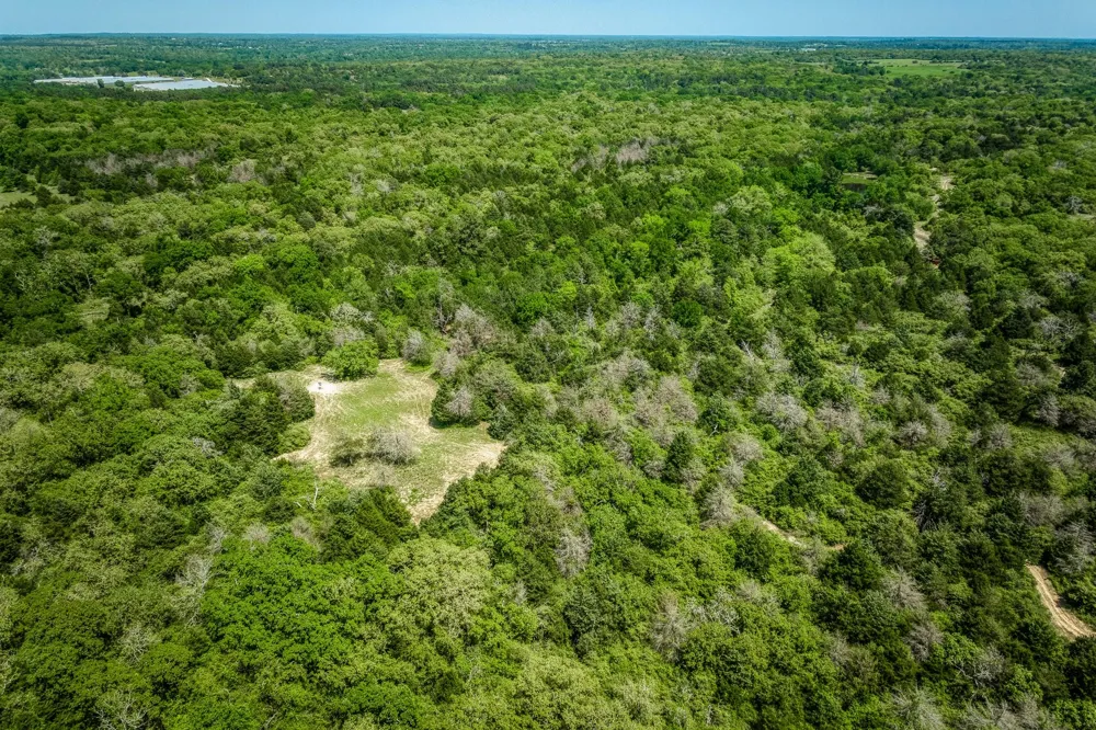 7266 County Road 449 Marquez, TX 77865