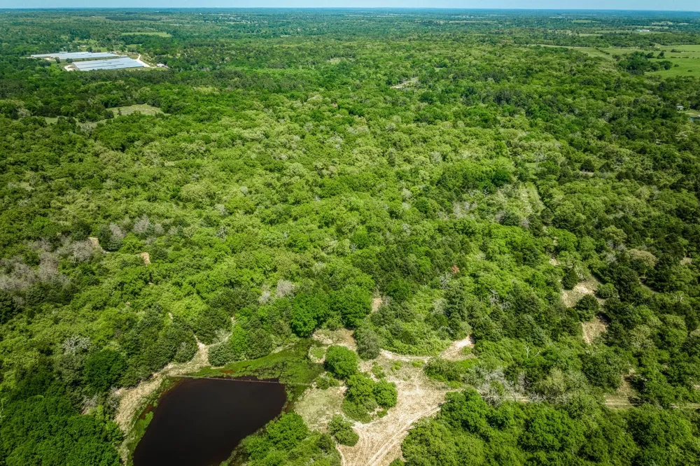 7266 County Road 449 Marquez, TX 77865