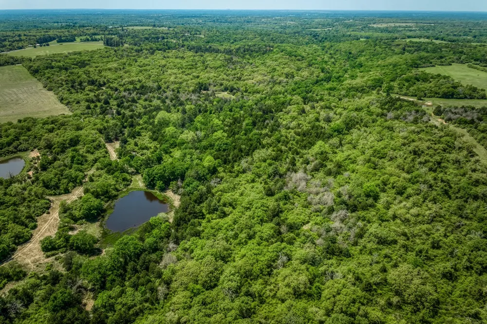 7266 County Road 449 Marquez, TX 77865