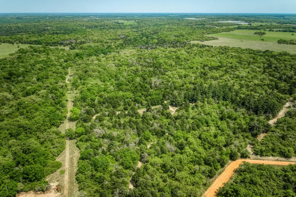7266 County Road 449 Marquez, TX 77865