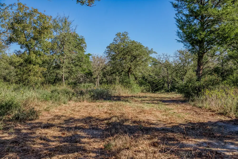 7266 County Road 449 Marquez, TX 77865