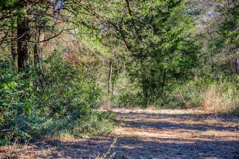 7266 County Road 449 Marquez, TX 77865