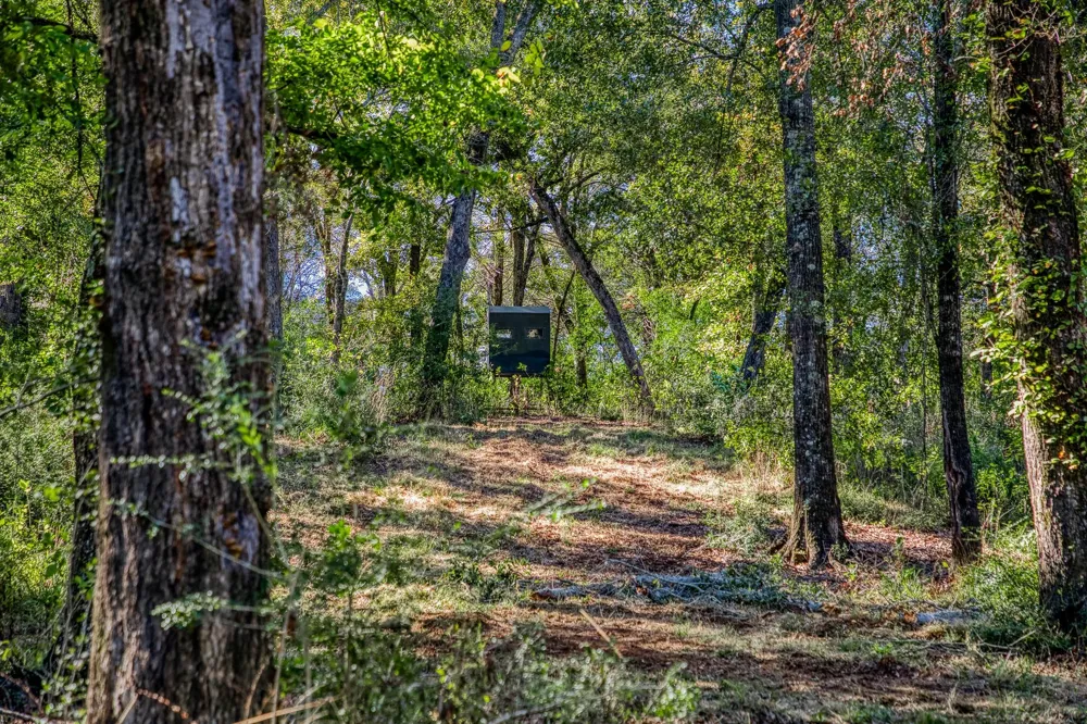 7266 County Road 449 Marquez, TX 77865