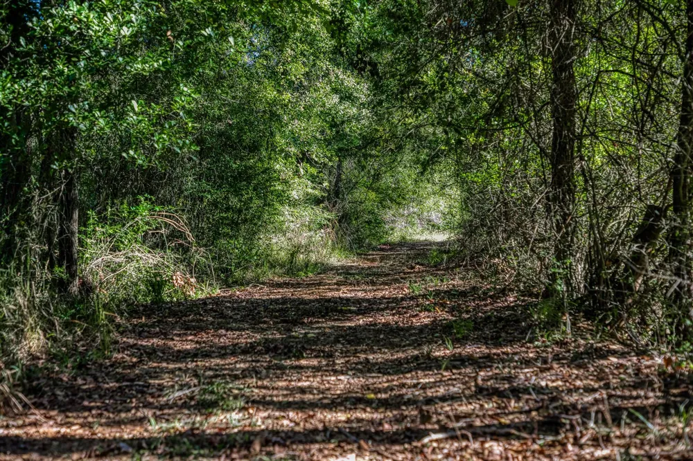 7266 County Road 449 Marquez, TX 77865