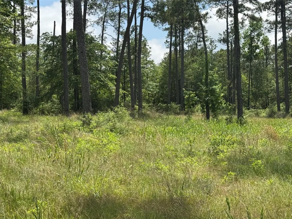 11 Private Road 6028 Brookeland, TX 75931