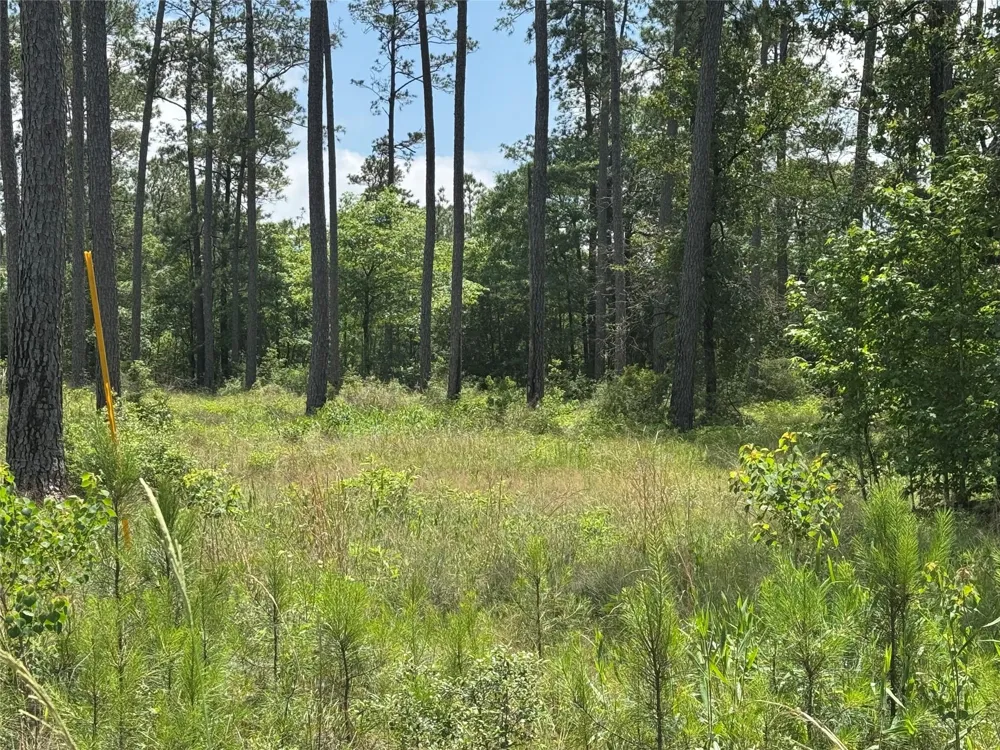 11 Private Road 6028 Brookeland, TX 75931