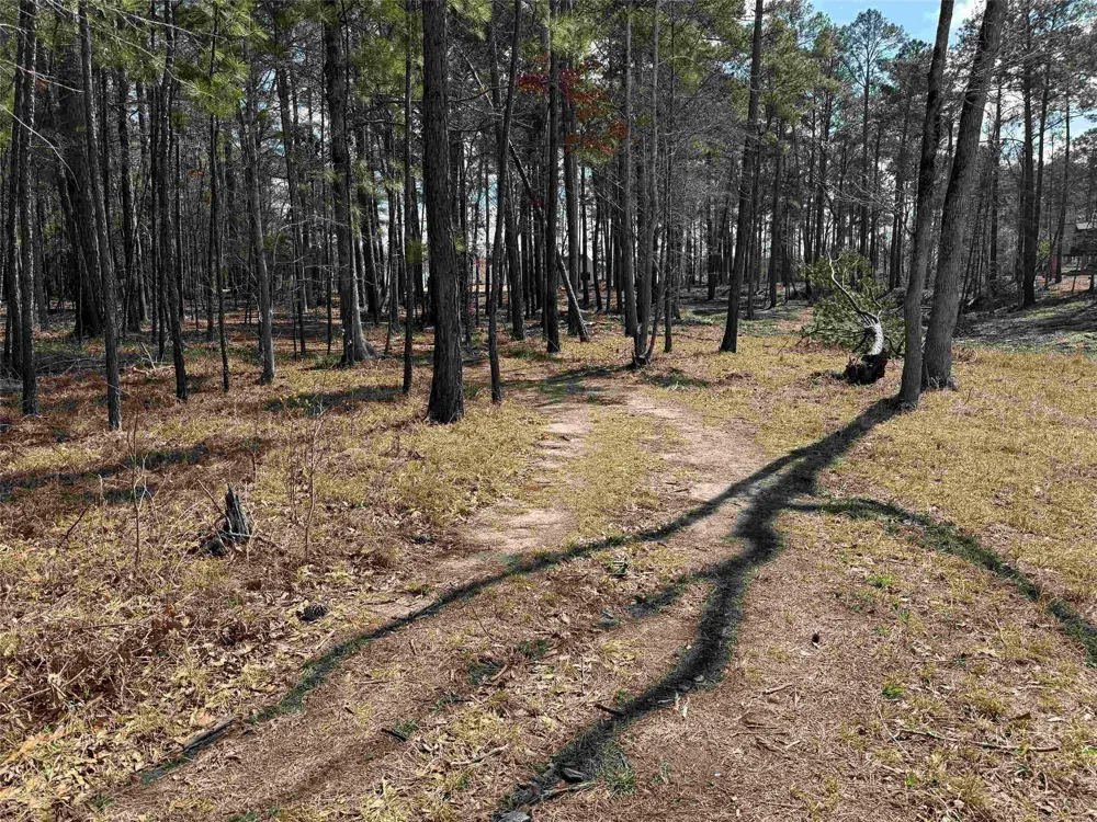 11 Private Road 6028 Brookeland, TX 75931