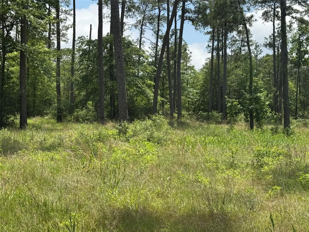 11 Private Road 6028 Brookeland, TX 75931