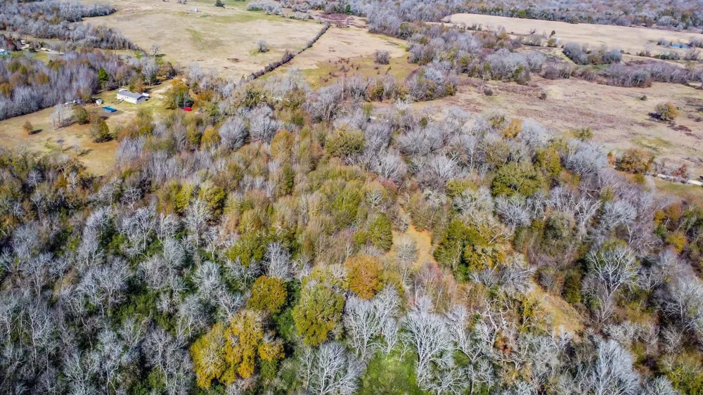 Bundic Road North Zulch, TX 77872