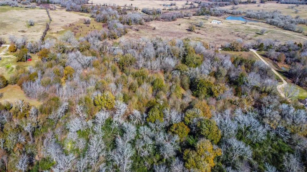 Bundic Road North Zulch, TX 77872