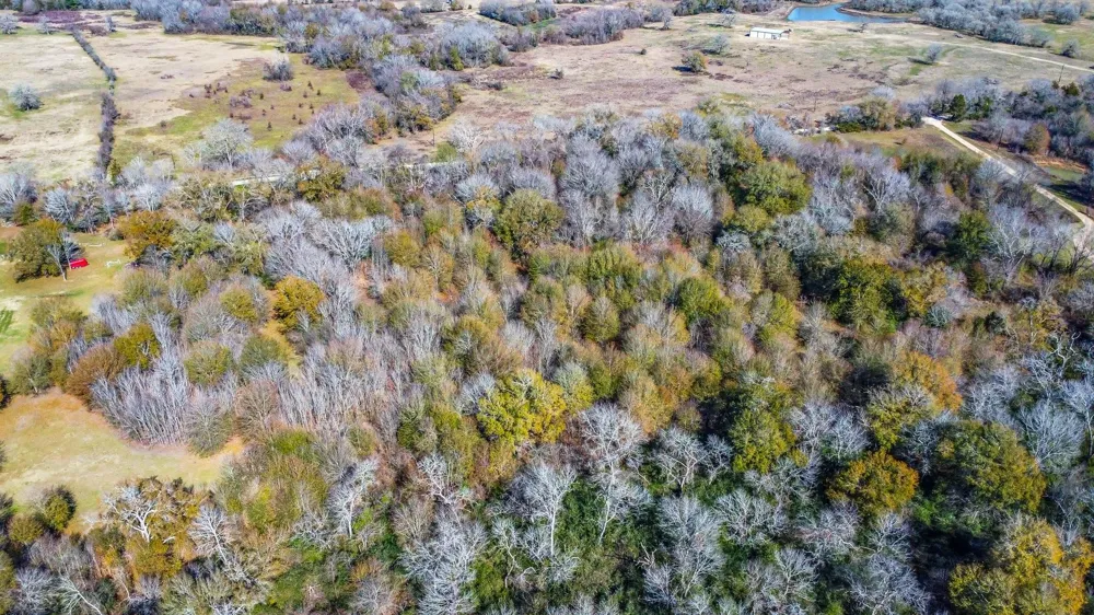 Bundic Road North Zulch, TX 77872