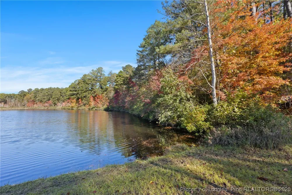 Topaz Lane Aberdeen, NC 28315