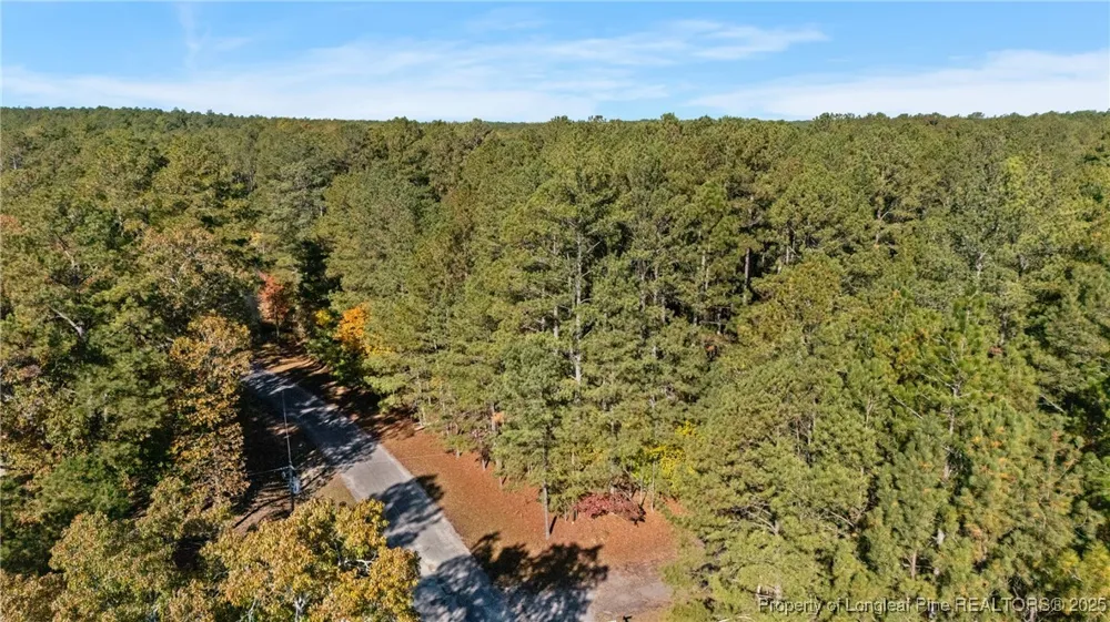 Topaz Lane Aberdeen, NC 28315