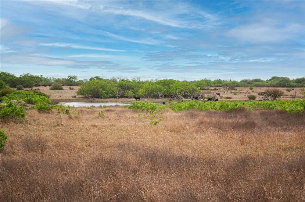 FM 738 Orange Grove, TX 78372