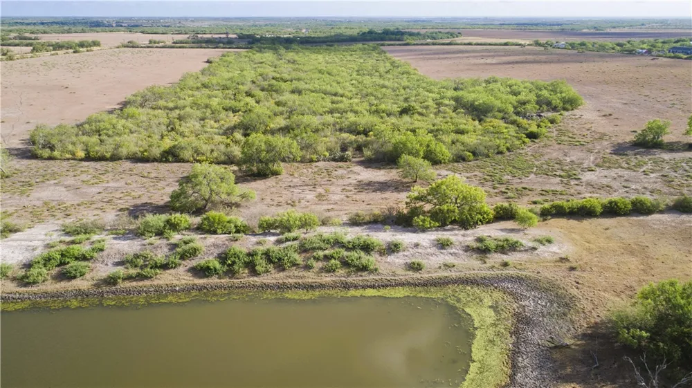 FM 738 Orange Grove, TX 78372