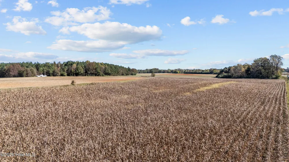 0 Nc 43 Whitakers, NC 27891