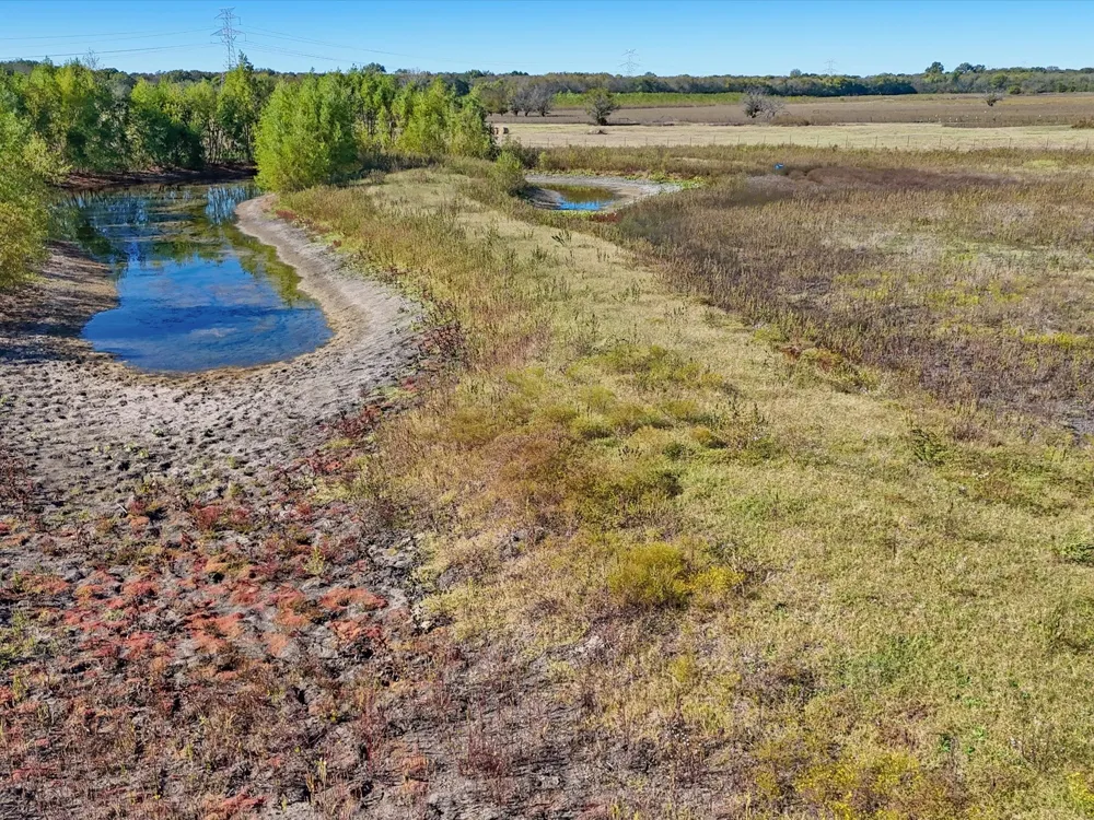 10231 County Road 670 Blue Ridge, TX 75424