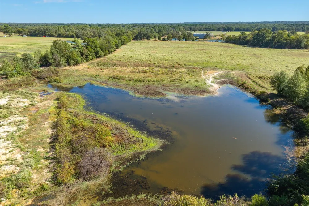 806 County Road 2918 Mineola, TX 75410