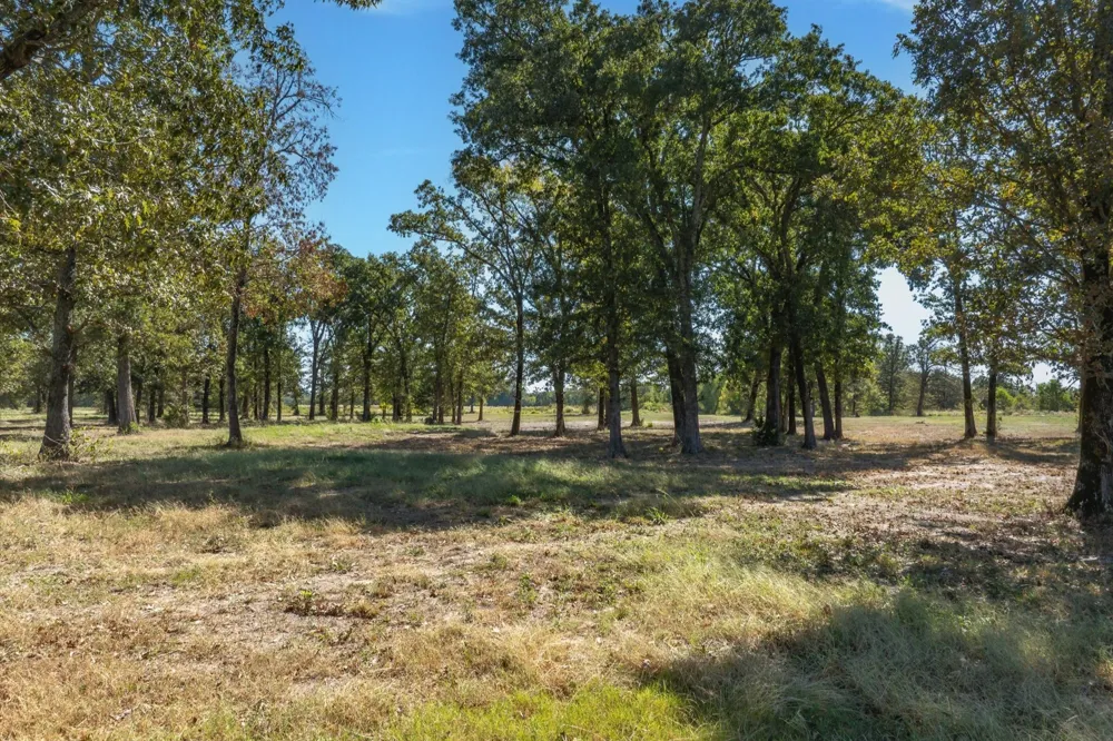 806 County Road 2918 Mineola, TX 75410