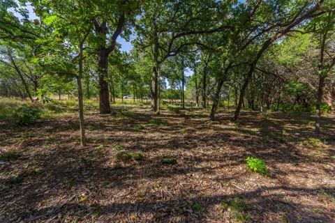 1053 Creek Crossing Road