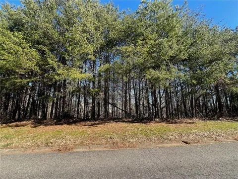 924 Whistler Lane