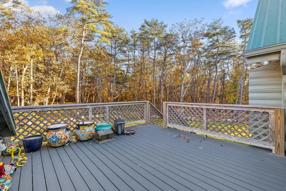 504 Wolf Run Cloudland, GA 30731
