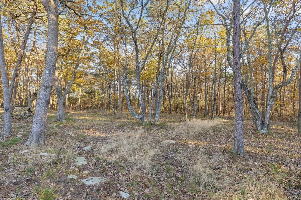 504 Wolf Run Cloudland, GA 30731