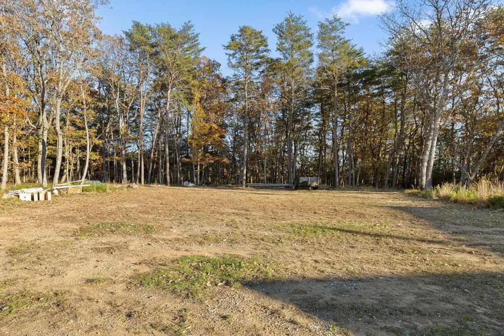504 Wolf Run Cloudland, GA 30731