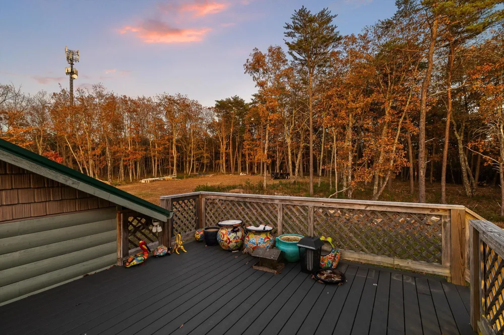 504 Wolf Run Cloudland, GA 30731