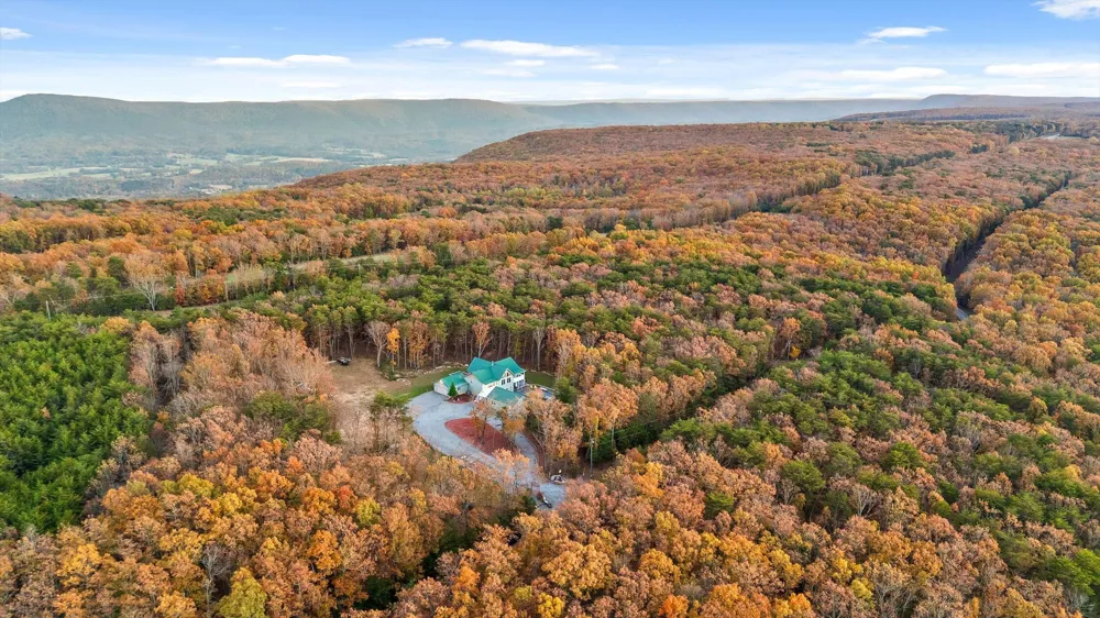 504 Wolf Run Cloudland, GA 30731
