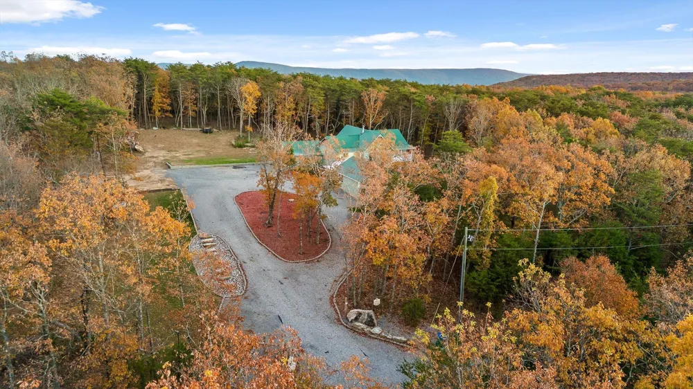 504 Wolf Run Cloudland, GA 30731