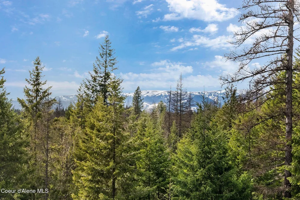 422 Lightning Peak Road Sandpoint, ID 83864