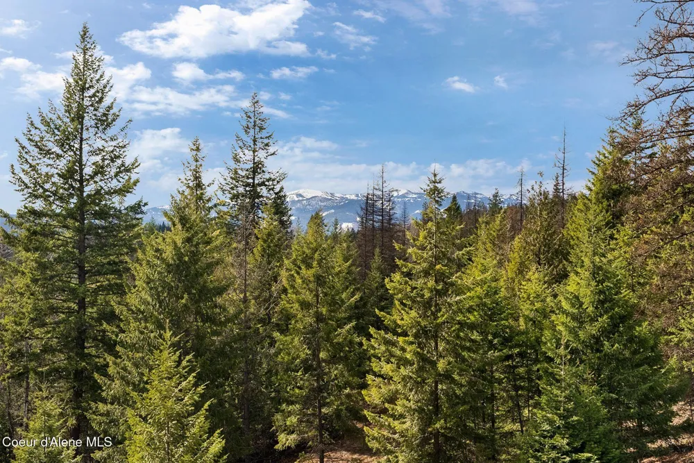 422 Lightning Peak Road Sandpoint, ID 83864