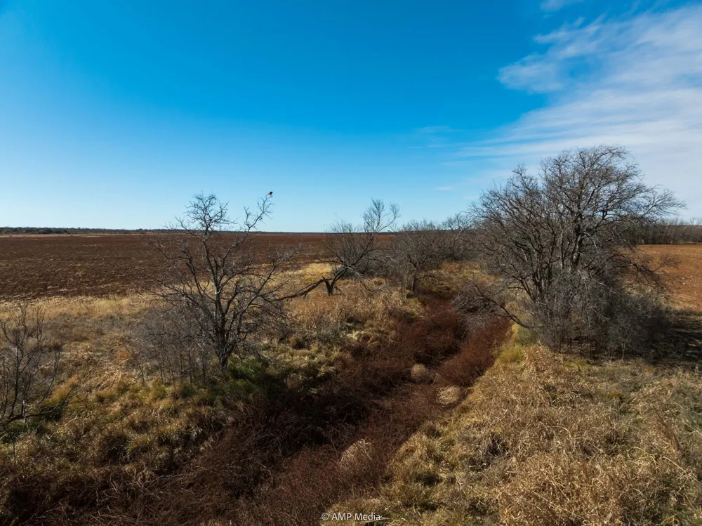 County Road 260 Colorado City, TX 79512