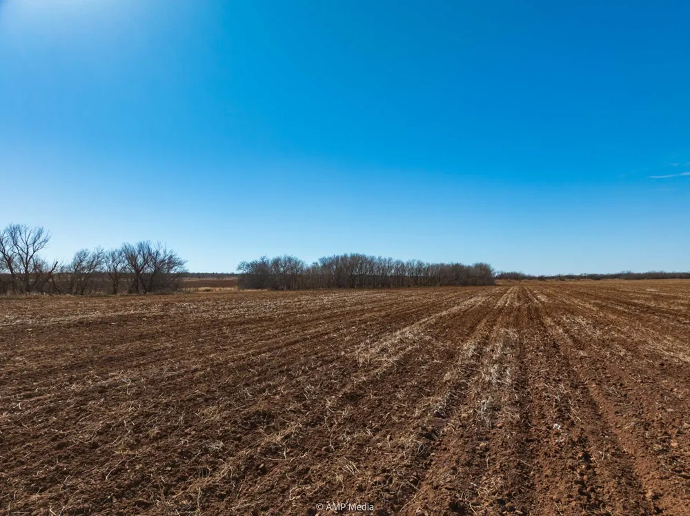 County Road 260 Colorado City, TX 79512