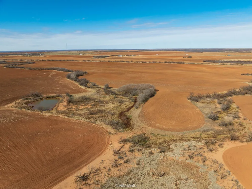 County Road 260 Colorado City, TX 79512
