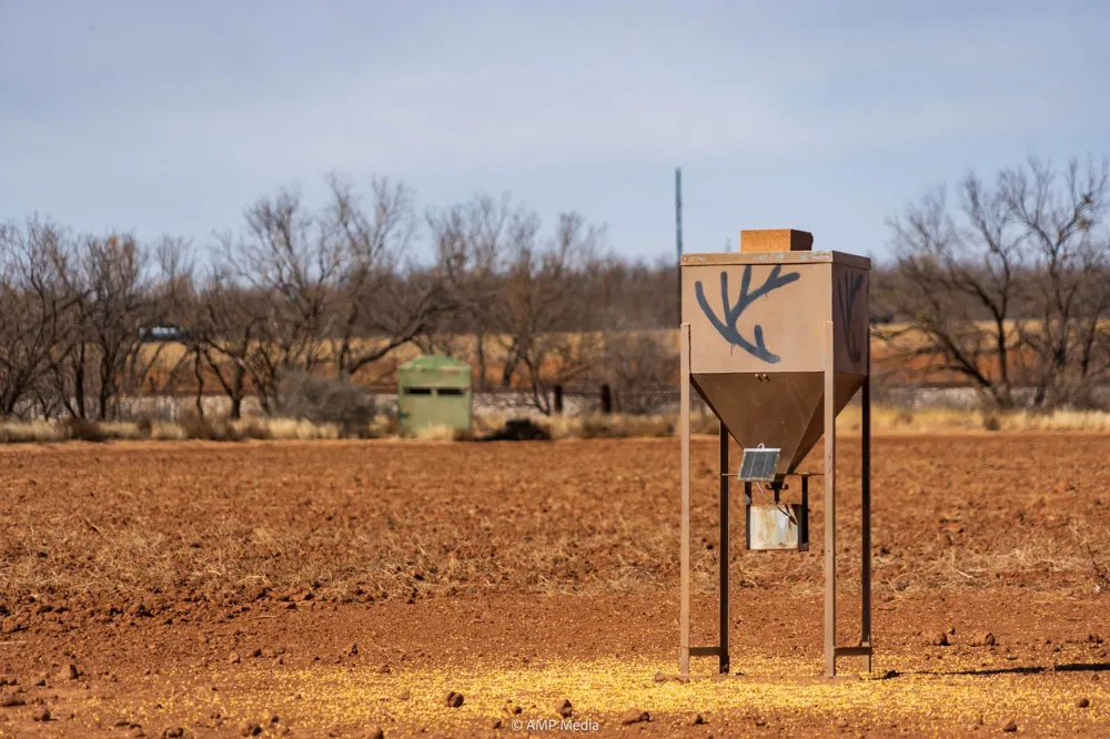 County Road 260 Colorado City, TX 79512