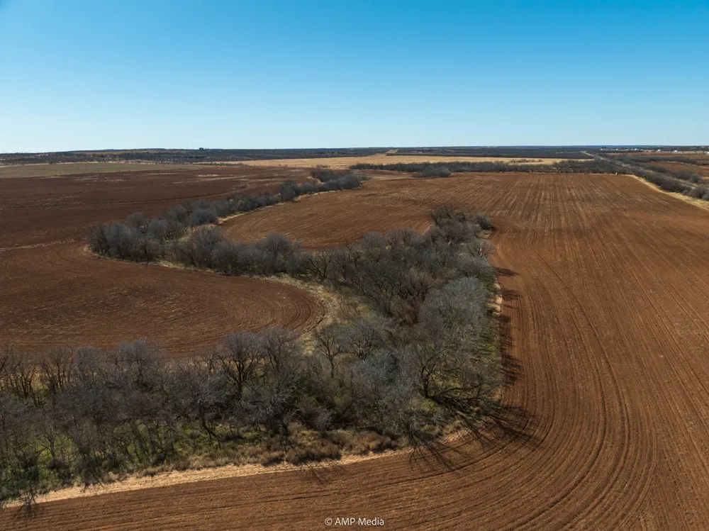 County Road 260 Colorado City, TX 79512